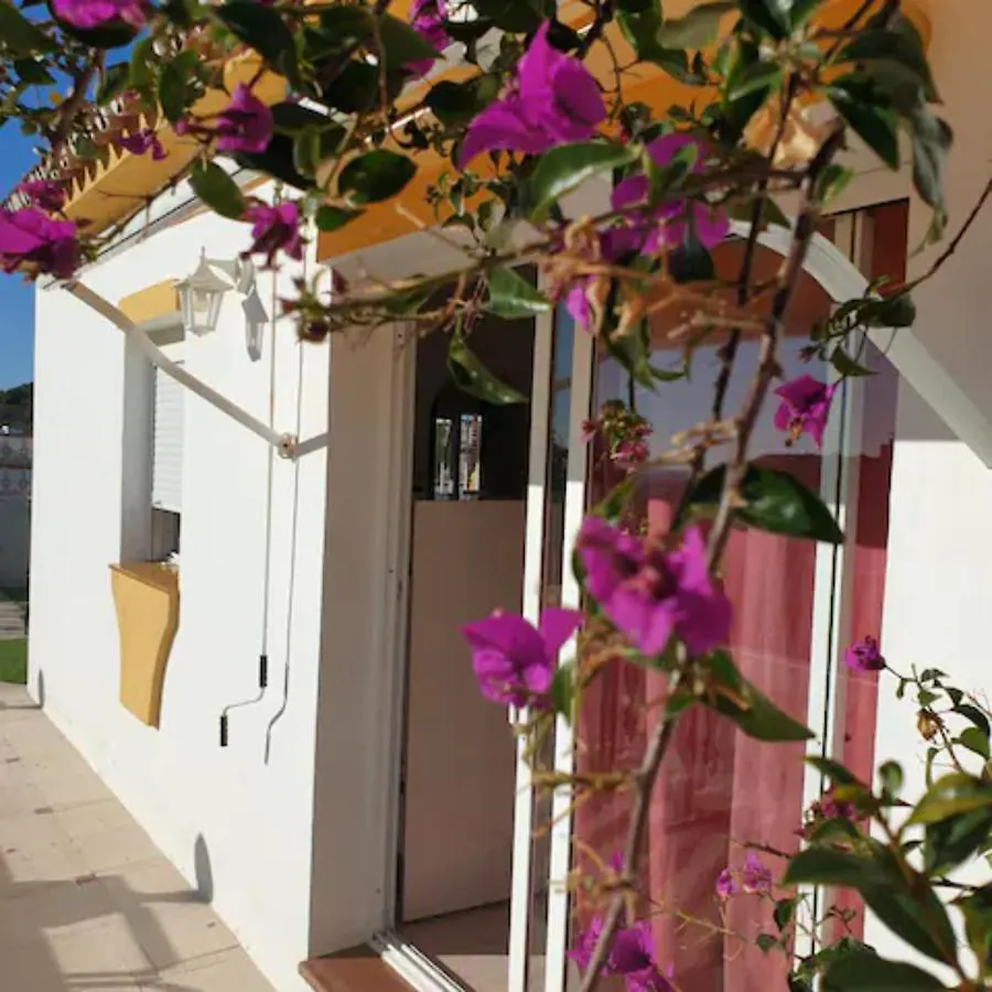 La Casa De La Palmeras Apartment Benalmadena Spain